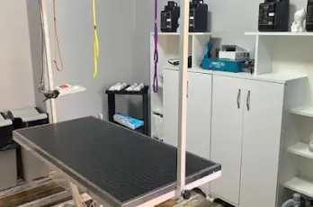 Pet Kuaför