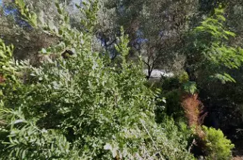 Ovacık oto lastik ve kuaför