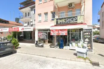 Dızayn Elektrık