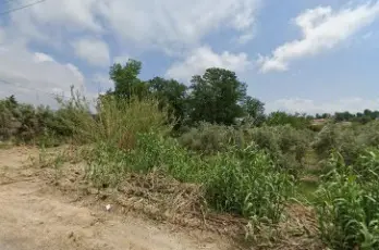 DOĞAN OTO JANT LASTİK