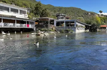 Görsel 24