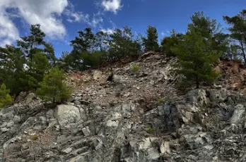 Görsel 23