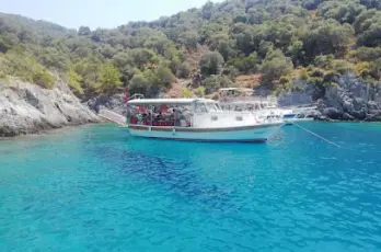 Captain Midnight Daily Boat Tours