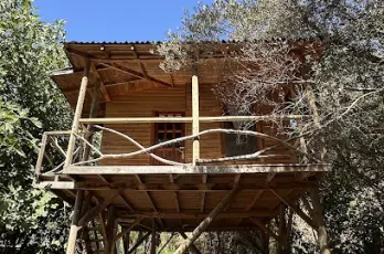 Serenity Kabak
