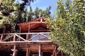 Kabak Natural Life