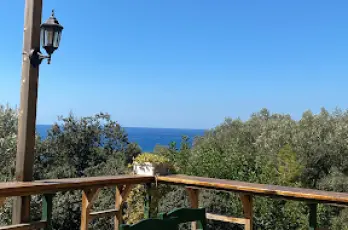 Görsel 3