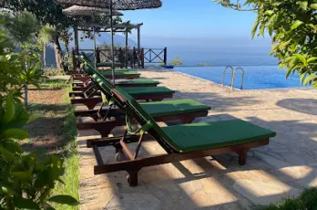 Olive Garden Kabak