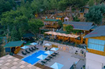 Tree Houses Hotel