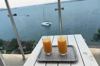 Görsel 5