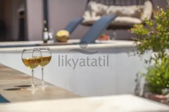 Görsel 6