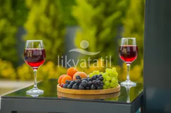 Görsel 10